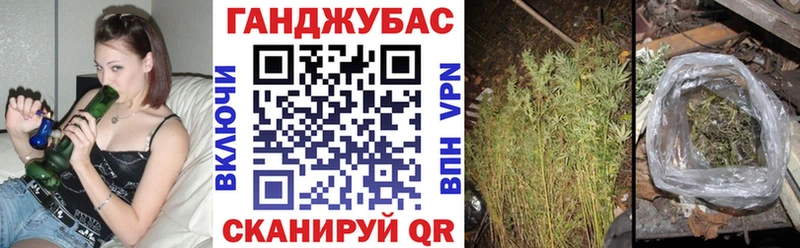 mega ссылки  Магас  Бошки Шишки план  дарнет шоп 